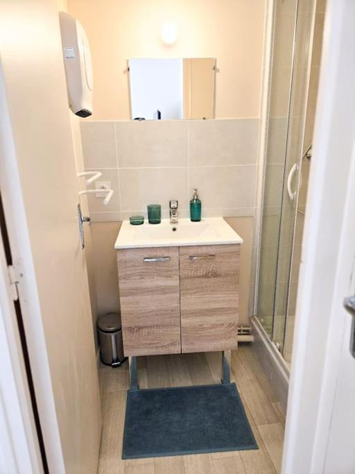 Paisible Proche Hypercentre Appartement